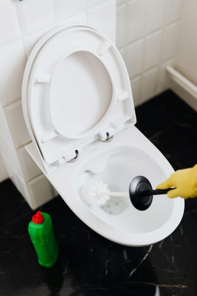 odštopavanje wc školjke