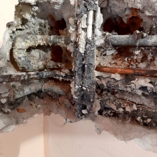 WhatsApp Image 2024-02-19 at 19.11.24 (1)